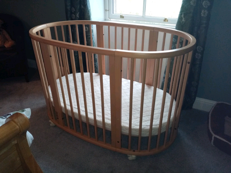 gumtree stokke cot